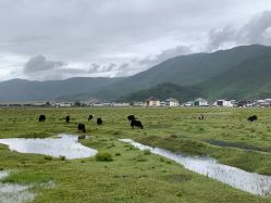 -纳帕海依拉草原