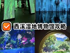 -中国湿地博物馆