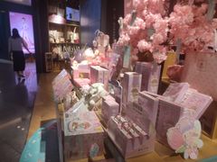 -九木杂物社(东方宝泰店)