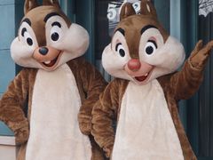 -上海迪士尼度假区