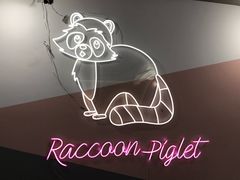 -浣熊柯尔鸭土拨鼠·电玩咖