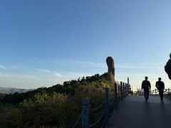 -普乐寺