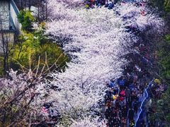 -南京城墙景区