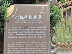 -国恩寺