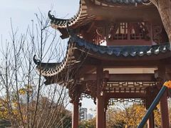 -四海公园(南山区)