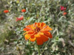 -四里河滨水生态公园