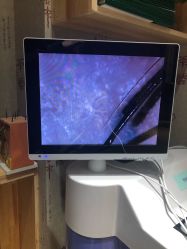 -雅梵伊容·护肤·造型