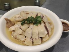 -新锦鸿(演达店)