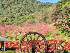 -广州市石门国家森林公园