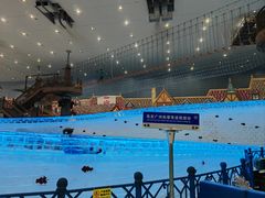 -广州热雪奇迹