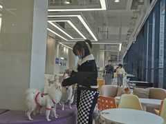 -怪兽屋·羊驼·猫咖·狗咖(俊华广场店)