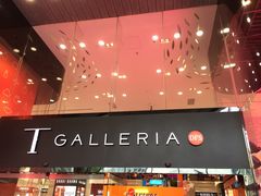 -DFS旗下T广场(新加坡店)
