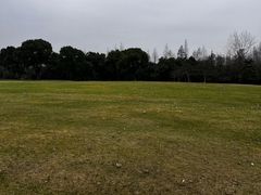 -上海滨江森林公园