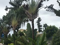 -德宏芒市国际机场