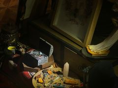 -雪灵魔法世界SHELLY’S TAROT(大良桂畔里店)