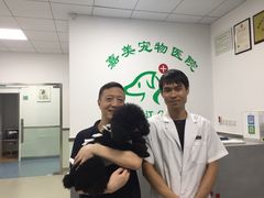 -美美宠物诊疗中心·异宠·骨科(滨江东信分院)