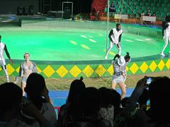 -蓬莱欧乐堡梦幻世界