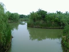 -梁鸿国家湿地公园