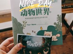 -萌宠奇缘