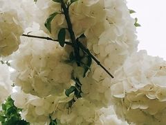 -渭滨公园
