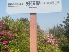 -梧桐山风景名胜区