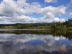 -五营红松林海景区