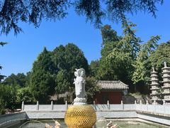 -泰山风景名胜区-普照寺