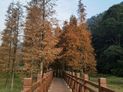 -广州市石门国家森林公园