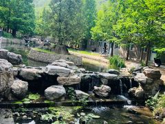 -白水寺森林公园