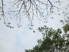 -白石龙音乐公园
