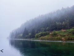-武陵山森林公园