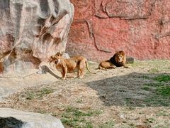 -无锡动物园·太湖欢乐园