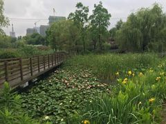 -滨湖塘西河公园