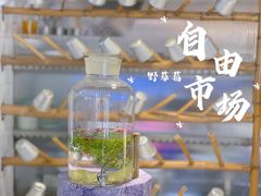 -野草莓自由市场
