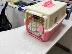 -中农国际动物医院24小时·猫科·骨科·急重症中心