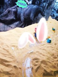 -恐龙探索乐园(磁器口店)