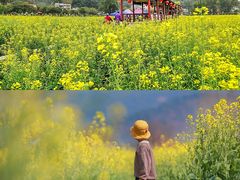 -红山村