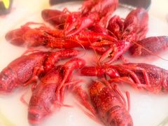 -红盔甲·小龙虾(天钥桥店)
