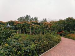 -郑州植物园