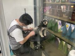 -渌洋湖湿地公园