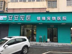 -安安宠物医院(情缘分院)