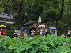 -莲湖公园