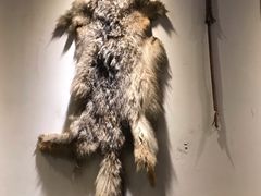 -313羊庄·羊肉火锅烧烤(李村店)