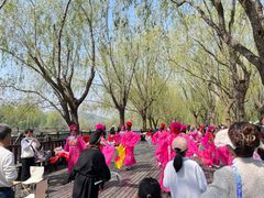 -羊亭河湿地公园