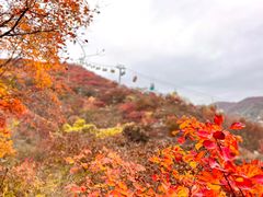 -周口店坡峰岭风景区