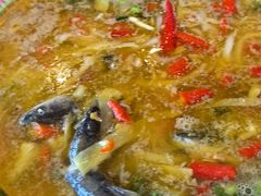 -胖大姐黄辣丁鱼庄(新津店)