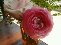 -MIKAKU(万达广场上海宝山店)