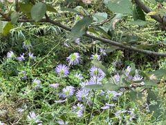 -帽儿山国家森林公园