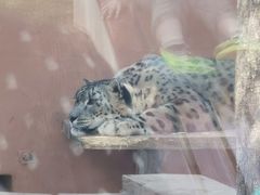-青藏高原野生动物园