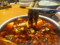 -夜不收荤豆花(大邑总店)